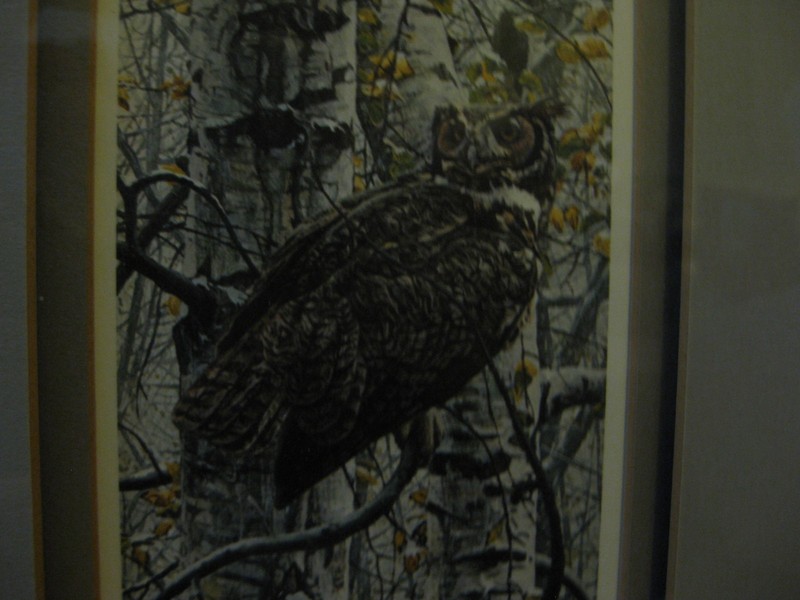 Rod Frederick Great Horned Owl Print 1221/1250 1986 Prof. Framed & Matted gallery