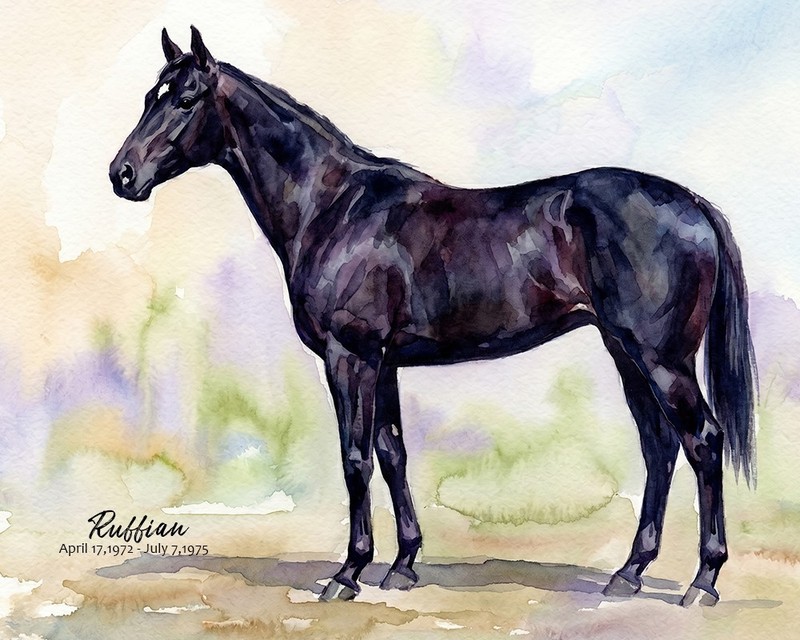 Horse Racing «Ruffian» W/C art print. Free Shipping 0435