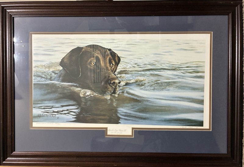 Birds Eye View III Chocolate Lab by Stephen Hamrick Conservation Edition Signed