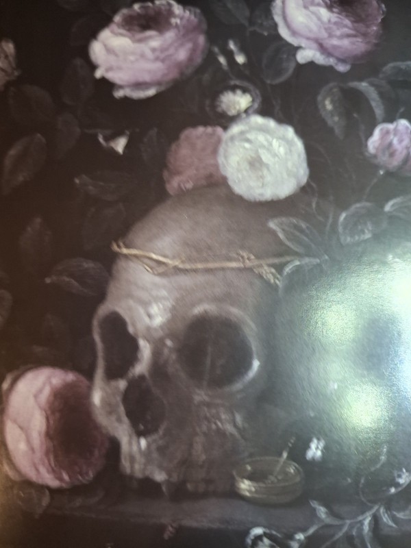 reproduction art print 4x5 in new of vanitas still life 17 century (p5) gallery