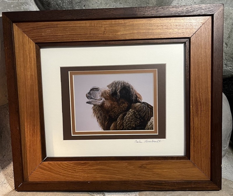 VTG BACTRIAN CAMEL PRINT Signed CARLA ARMBRUST 12”x 14” Matted Wood Frame Glass