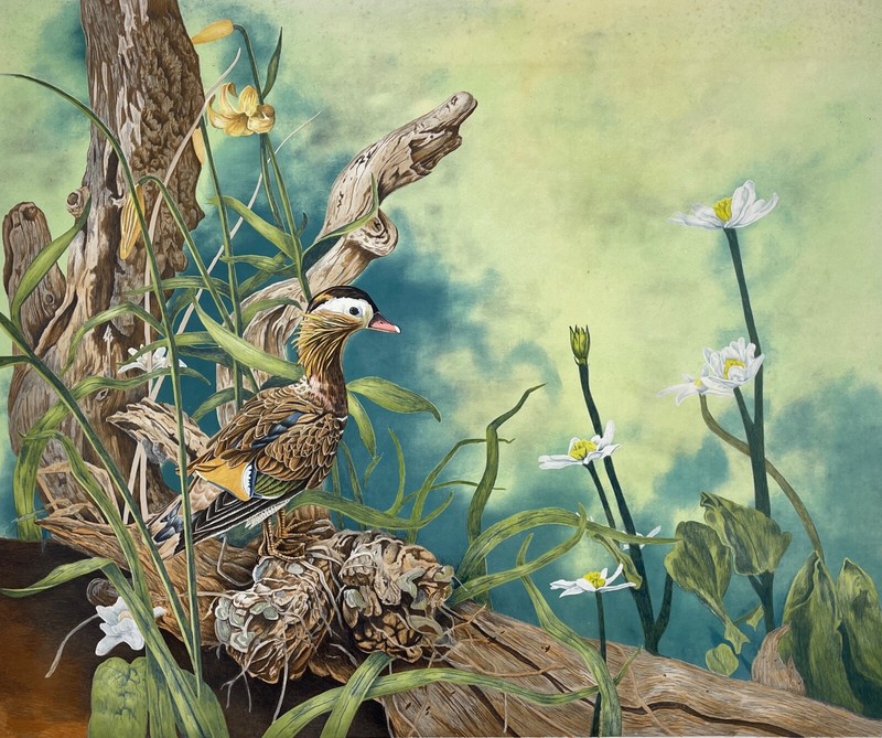 BUDDEN, Michael – ‘MANDARIN DUCK’- HC 1/12- Fine Art Lithograph- Print- Vtg-New!