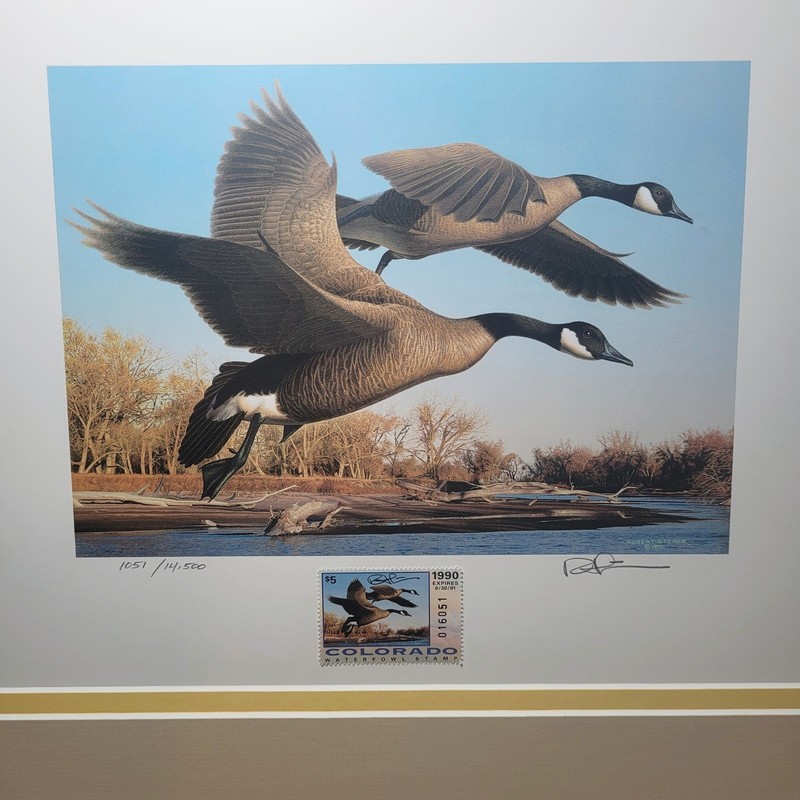Vintage 1990 Colorado Waterfowl Stamp & Signed Framed Geese Print Robert Steiner