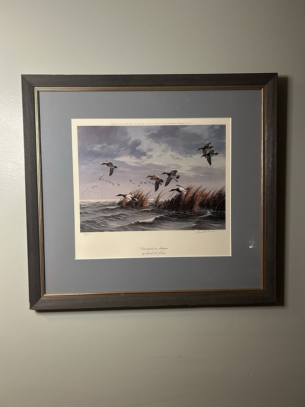 David Maass Canvasbacks In Autumn – Ducks Print 68/950 Signed 26”x24” Framed