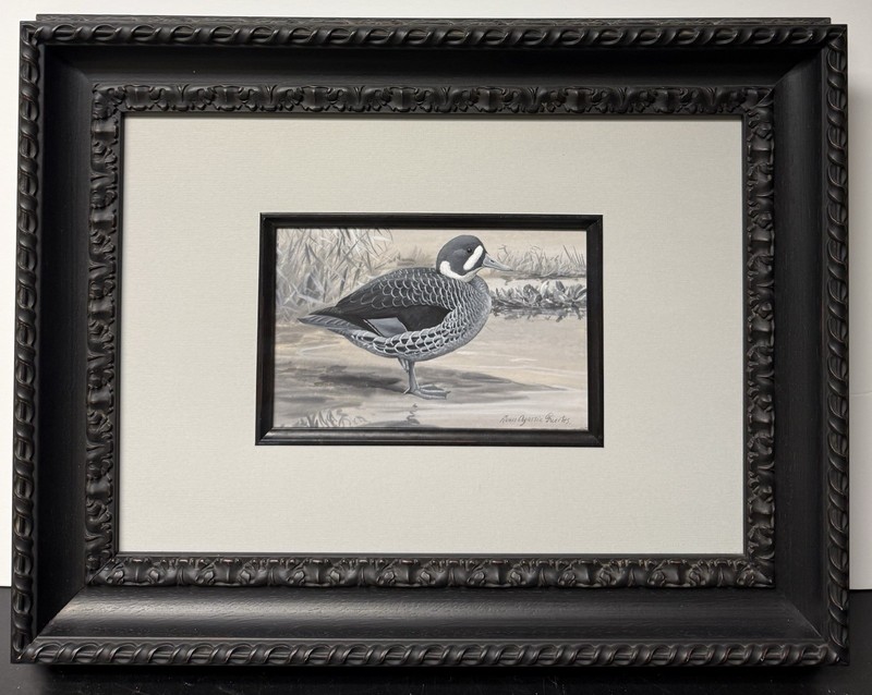 Louis Agassiz Fuertes Original Vint. Bird/Duck Art Painting, Signed, Framed