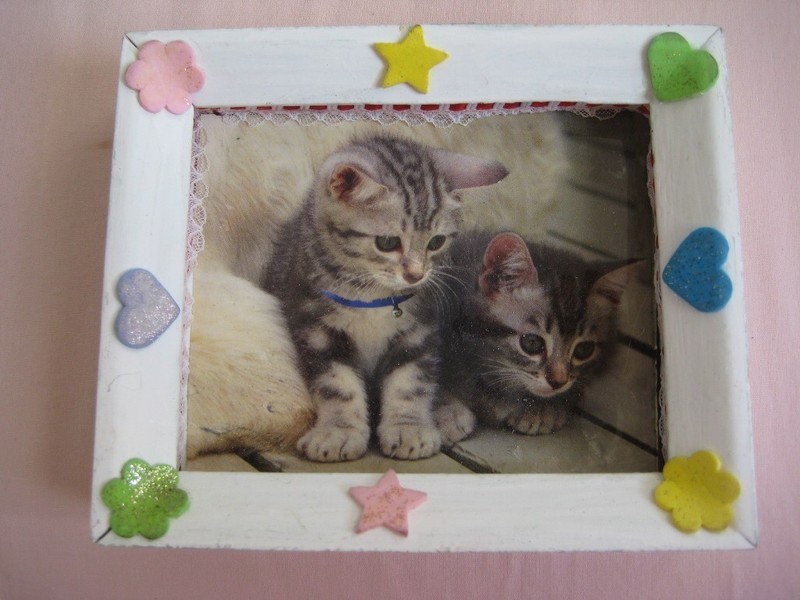 Kittens photo in wood shadow box 5X6 decorated white frame vintage back thorn