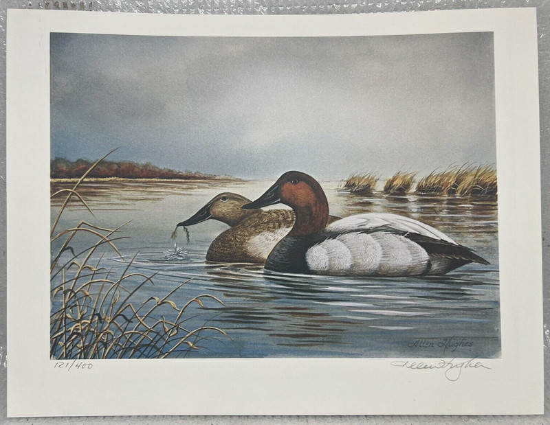 Allen Hughes NGP National Gard Products (Canvasback) Print 121/400