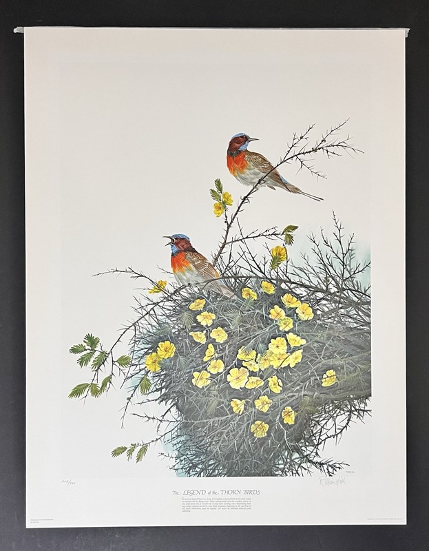 Robin Hill Numbered & Signed Art Print: The Legend of the Thorn Birds