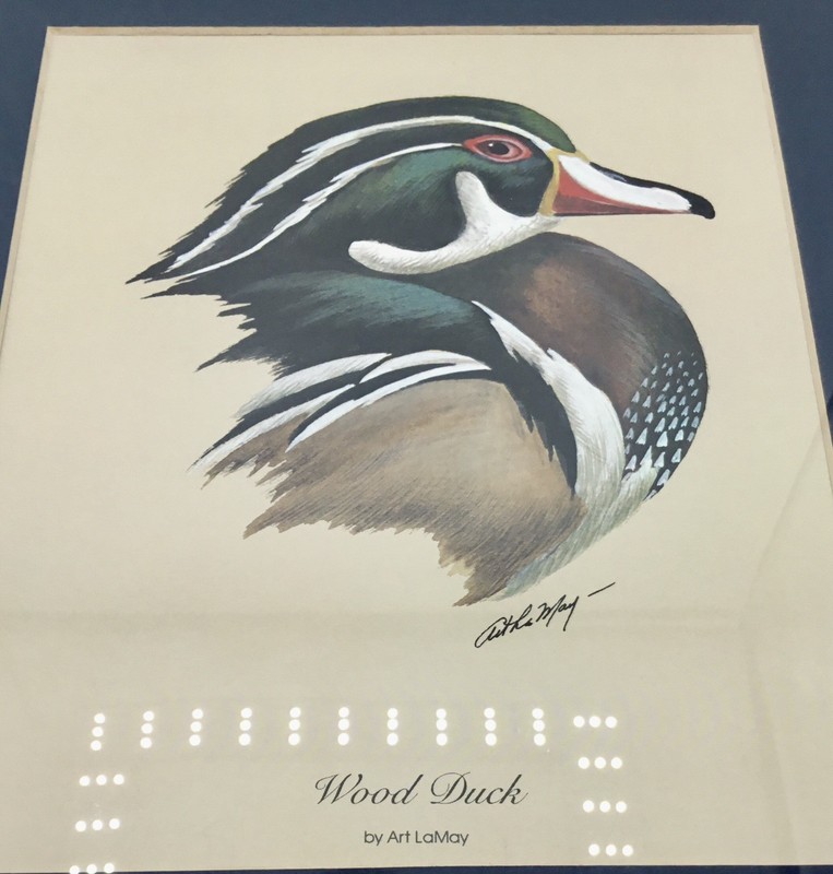💥Set of 5 Art LaMay Waterfowl Wildlife Duck Goose Gallery Wall Framed Prints gallery