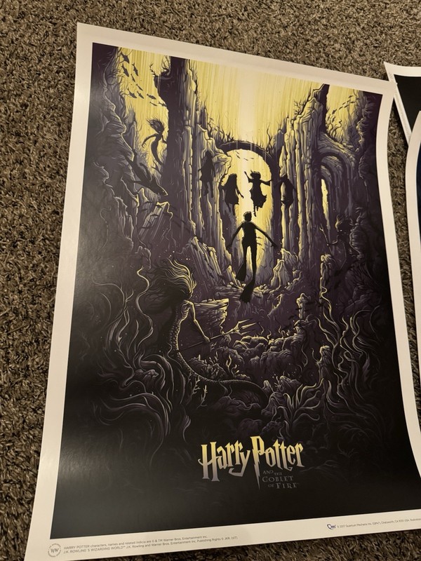 Harry Potter & The Goblet Of Fire Dan Mumford Sold Out
