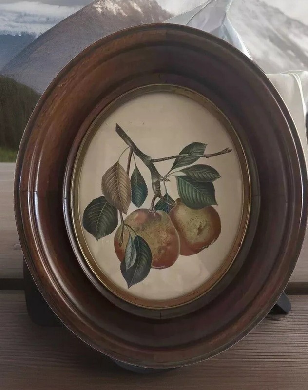 Vtg 1854 Zephirine Gregoire Art Print Wood Frame Pomes Cuavales 14-12”