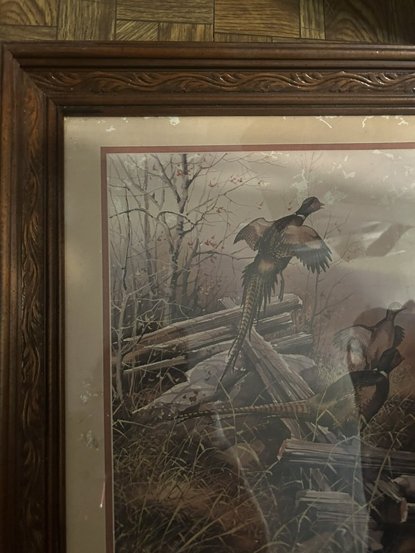 set of 2 Pheasants In Flight Gregory Messier Wood Framed ( 1 light/ 1 dark) gallery