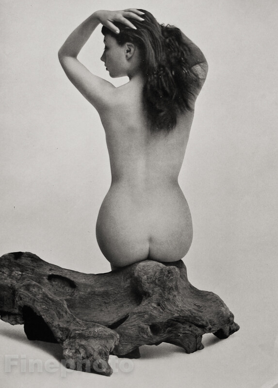1950s Vintage ZOLTAN GLASS Female Nude Mid Century Log Photo Litho Art On 11x14