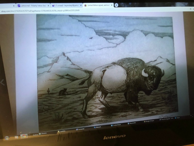 Limited Edition signed,, and numbered Print-Litho «BUFFALO?» A/P /100, O’BRIEN