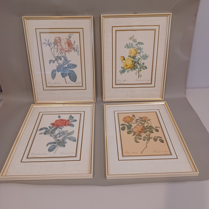 Vintage P J Redoute Floral Botanical Prints Rosa Pumila Painted Wood Frame Glass