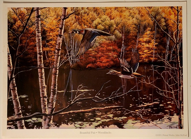 Duck Art, Sporting Art, Wood Ducks, Signed print, open-edition, wildlife Art