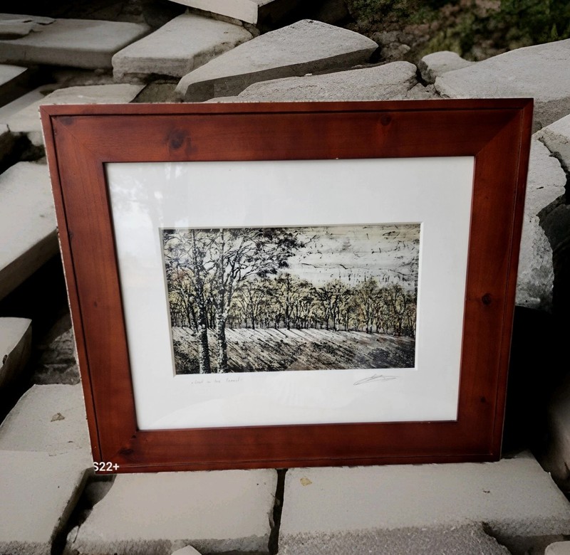FINE ART PRINT»LOST IN THE FOREST»BY CHRIS PAVLOV W/MODER WOOD FRAME 25.5″× 21″