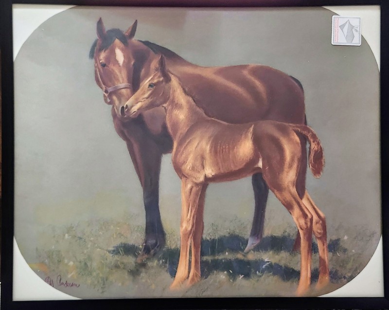 Vtg 70s Art Print/Poster-Horses, Kittens, Garfield & Sayings-Personal Collection