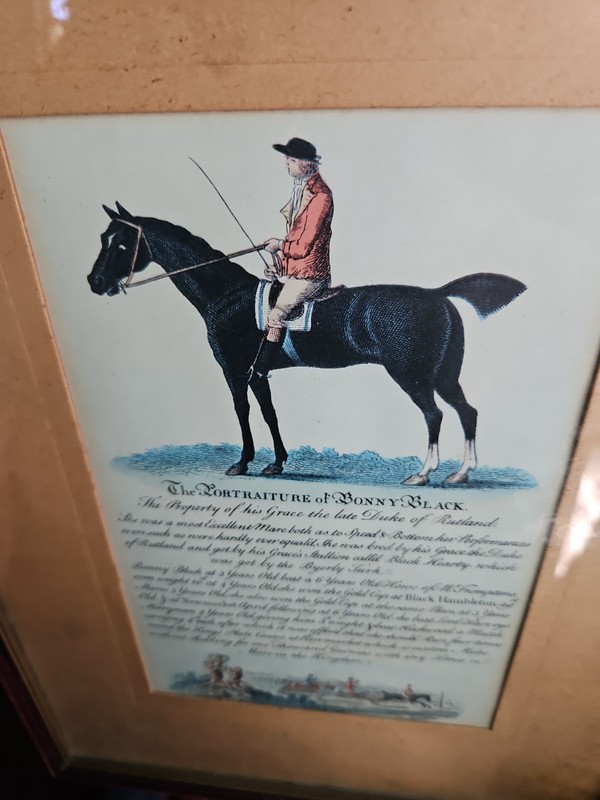 Race Horse Print BONNY BLACK Hand Colored Engraved EQUESTRIAN England 13×10
