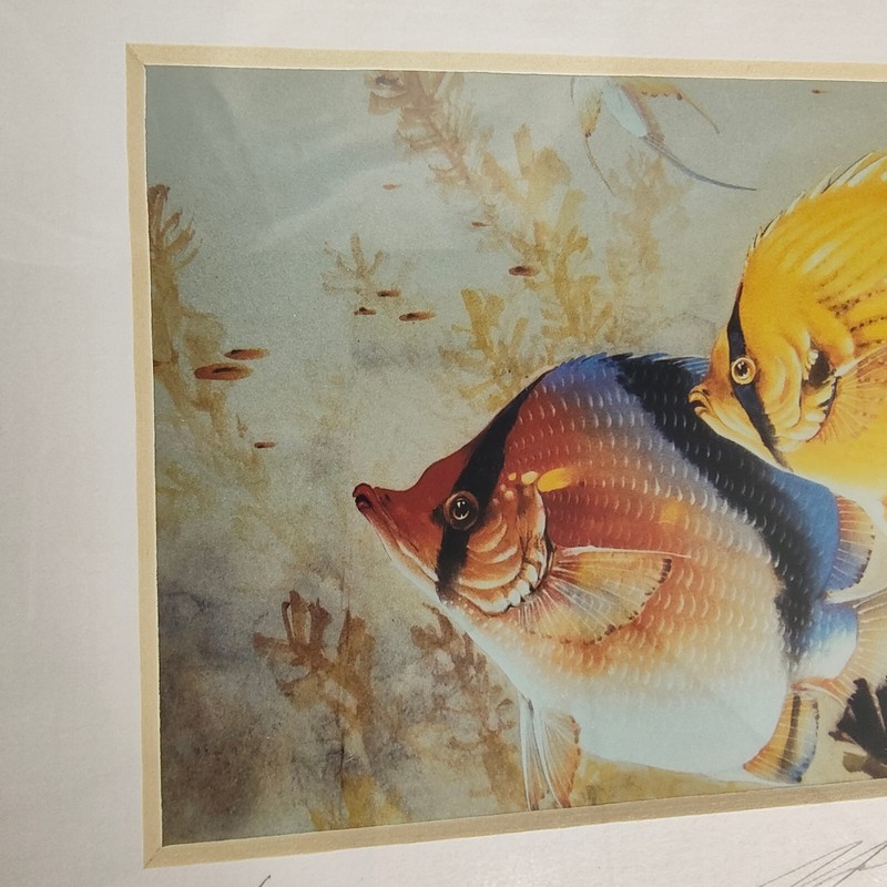Vintage Yun Shan Lau Butterfly Fish Chinese Art Print Signed Numbered 28/200 gallery