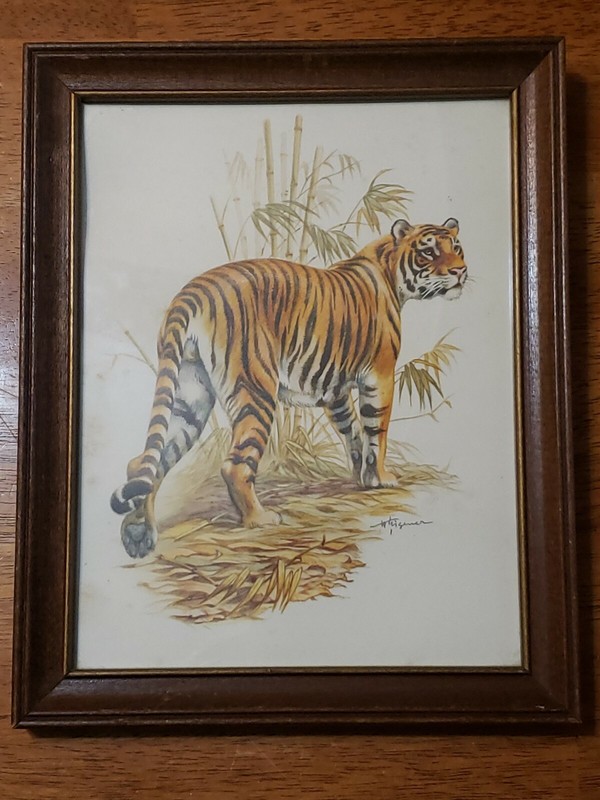 Vintage Print ONLY Fleck Bros, Hand Signed Framed Bengal Tiger Bamboo