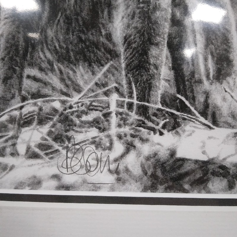 Fox Cub Reproduction Pencil Sketch Print c/w Card Mount - 45cm x 35cm B Coley? gallery