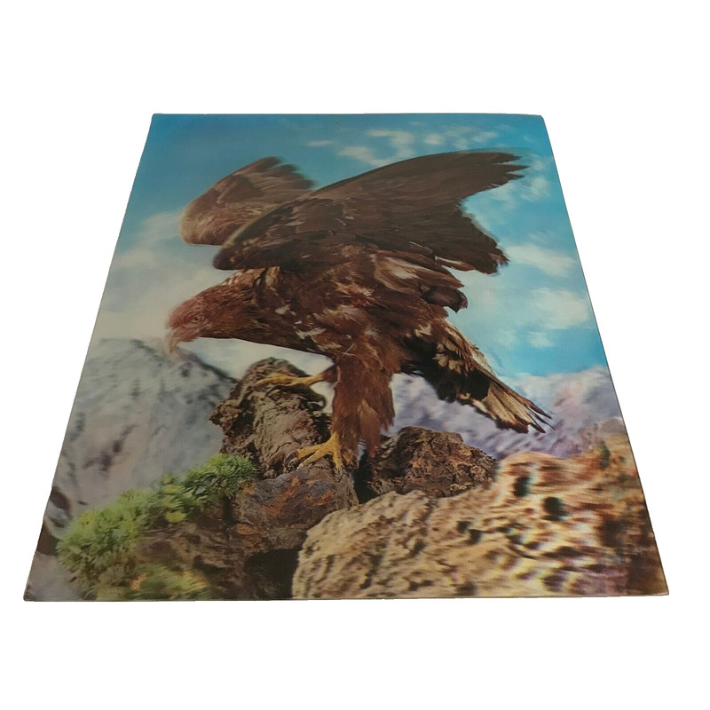 Vintage 3D Eagle Plastic Topan Print 26 cm x 33.5 cm Made in Japan