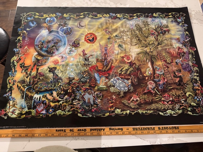 Officially Licensed Dream Combo by Mike DuBois 36 x 24 Inch Poster