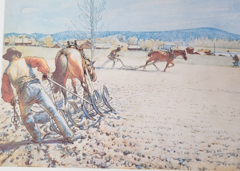 Carl Larsson Print HARROWING FARMING PLOWING THE FIELDS