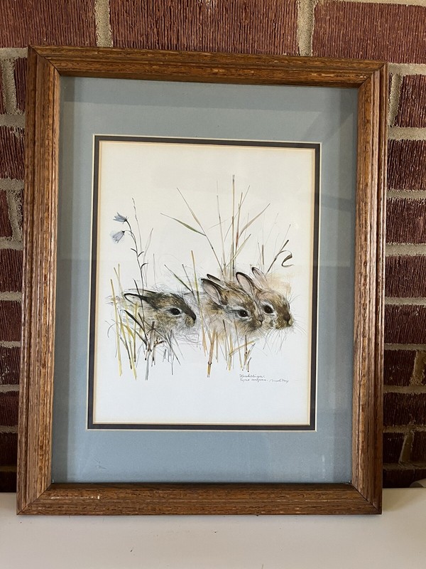 vintage Mads Stage «Harekelinger» 3 baby bunnies print matted and framed Picture