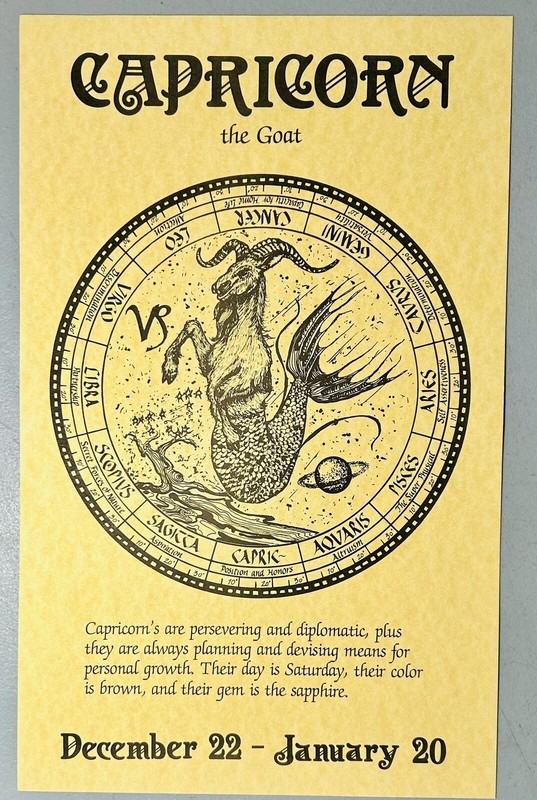 Vintage 1970s Capricorn The Goat Zodiac Astrology Original Art Print 16x10 NICE!