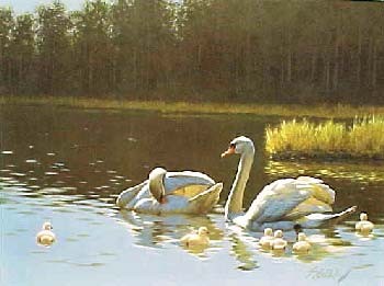 Guy Coheleach Mute Swans Signed Open Edition