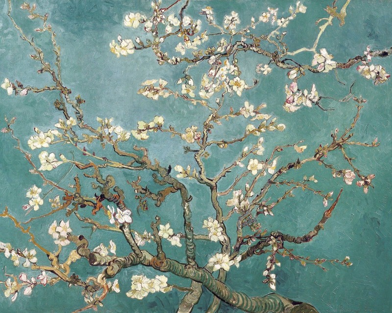 Vincent Van Gogh Almond Blossom Painting Giclee Print on Fine Art Paper