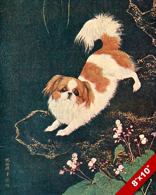 THE OPINIONATED CHINESE PEKINGESE PET PUPPY DOG ART PAINTING PRINT REAL CANVAS