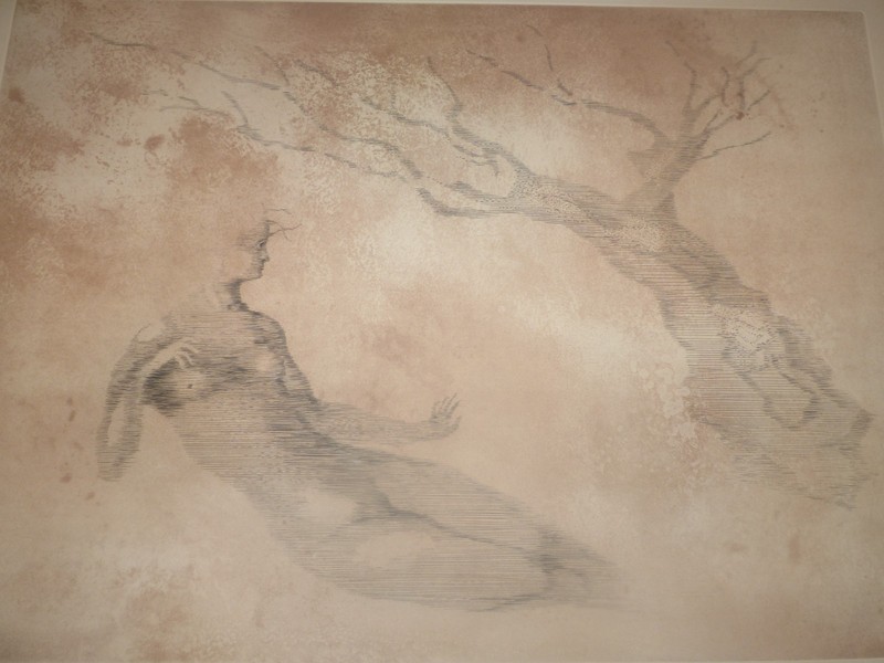 Ferdinand Springer Original Engraving Signed Woman & Tree 1973 77×60 Cm Aquatint