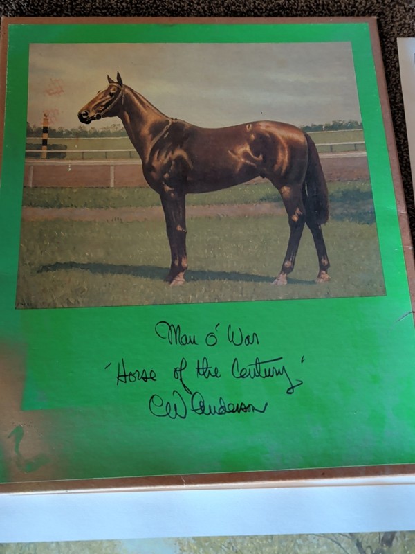 C. W. Anderson Man O' War Original Collection 8 Pictures
