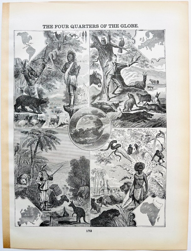 1895 Four Quarters Of The Globe Wood Engraving Victorian Natural History E1 gallery
