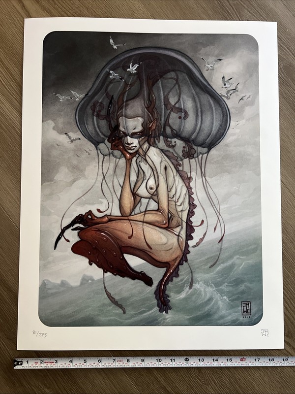 J.A.W. Cooper Shapeshifter Signed Numbered Art Print 81/273 19×24” Flesk 2013