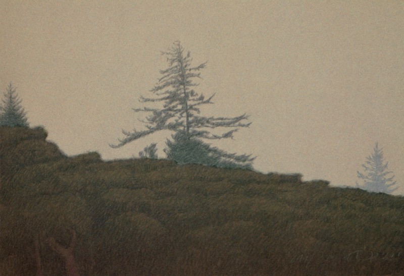 RUSSELL CHATHAM Tamalpais in the Fog