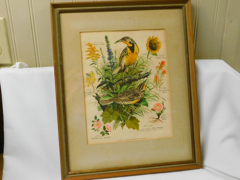 Vintage ARTHUR SINGER Framed Art Print #7 Goldenrod Sunflower Western Meadowlark