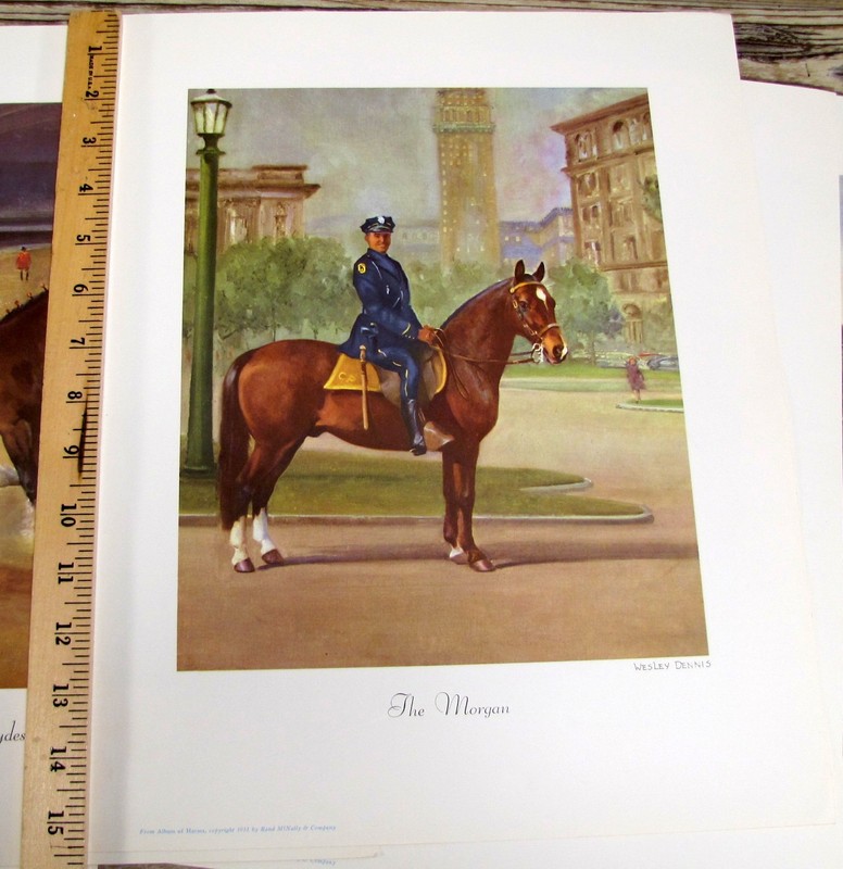 Vintage Wesley Dennis Horse Prints Lot 6 From 1951 Rand McNally Portfolio 16x12" gallery