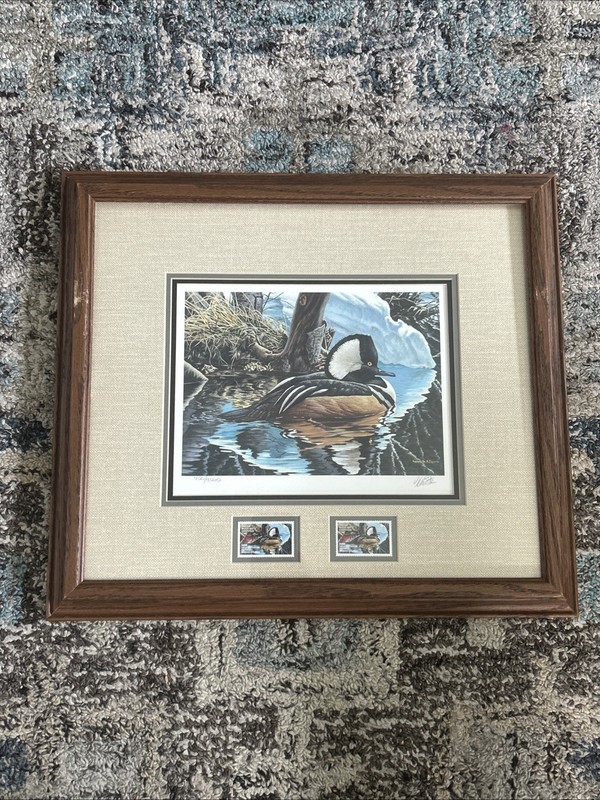 Framed 18 x 15.5 1993 Canada Hooded Merganser Signed Print & Stamp Ken Ferris