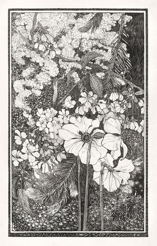 Lente II by Theo van Hoytema Art Print