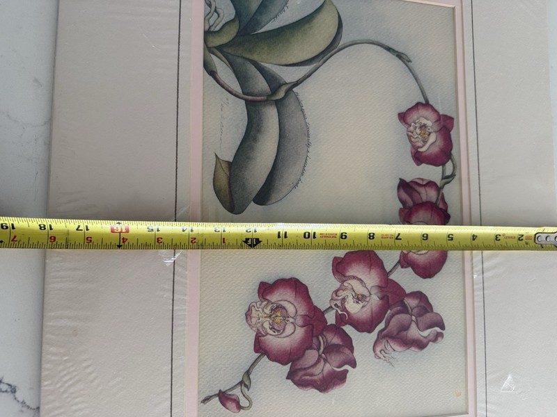 Unframed, Matted phalaenopsis Orchid, Print, Signed, And Numbered gallery