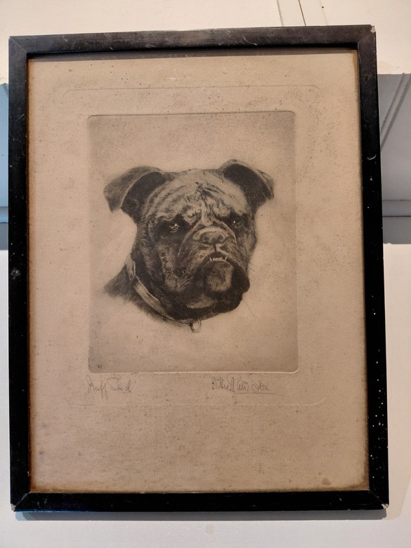 Antique Signed Print/Original? Bull Terrier «Snuff Said» 35 X 27cm