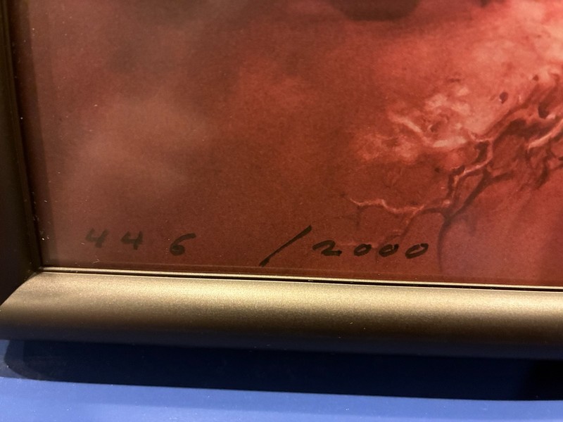 Stephen King Dark Tower Waste Lands Art Portfolio Ned Dameron Signed Ltd, Framed gallery