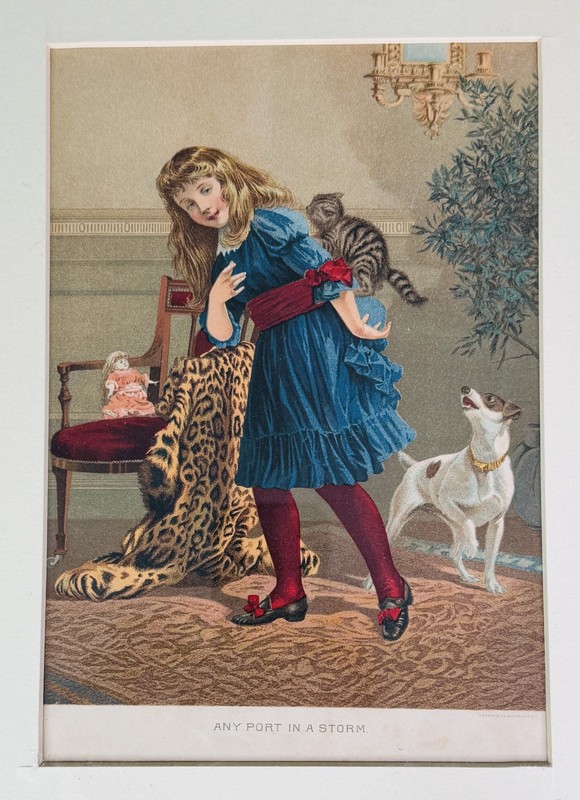 ANY PORT IN A STORM FRAMED LITHOGRAPH by Cosack & Co Buffalo NY Girl Cat Dog gallery