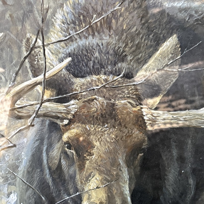 Robert Bateman Ltd Ed Signed Numbered THE CHALLENGE 43 x 32.5 Bull Moose gallery