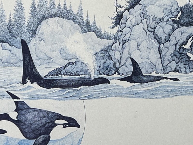 Michael Duncan Signed Print 'ON THE WAY HOME' Canadian Artist~Orca/Killer Whales gallery