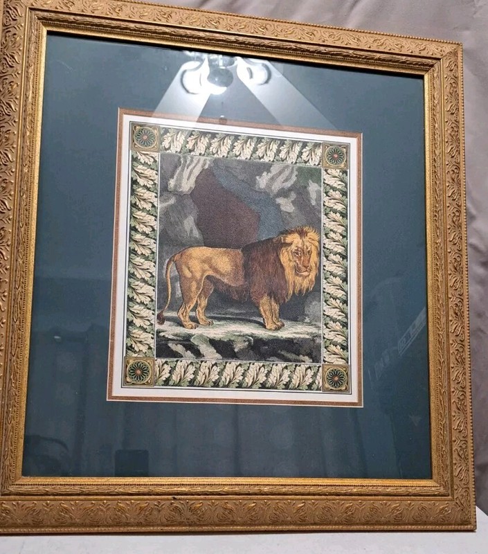 Buffin Lion Print Framed